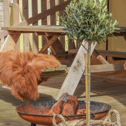 Öko-Lammfell | Mongolei Naturbraun | Ca. 90x60 cm Natürlich Rotbraun