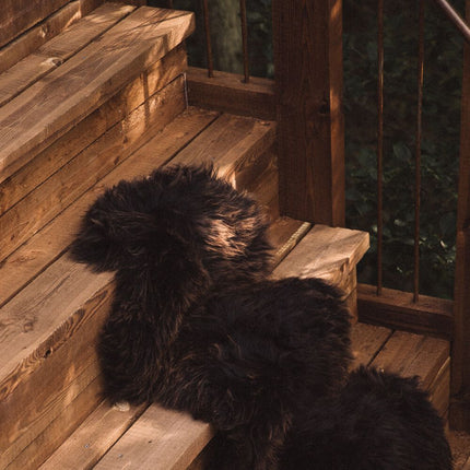 Öko-Lammfell | England | 90x60 cm Natürlich Dunkelbraun