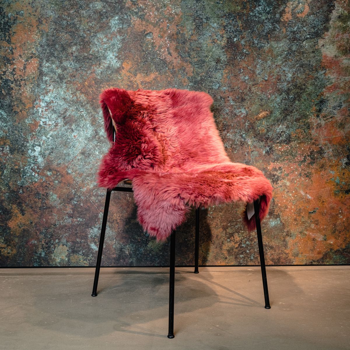 Decorating Sheepskins Lamsvacht echt wit, 100-110 cm lamsvachtborstel, zacht schapenvacht, natuurlijk tapijt voor woonkamer, decoratieve bont, slaapkamer, natuurbont, geurloos, lamsvacht Decorating Sheepskins Lamsvacht echt wit, 100-110 cm lamsvachtborstel, zacht schapenvacht, natuurlijk tapijt voor woonkamer, decoratieve bont, slaapkamer, natuurbont, geurloos, lamsvacht