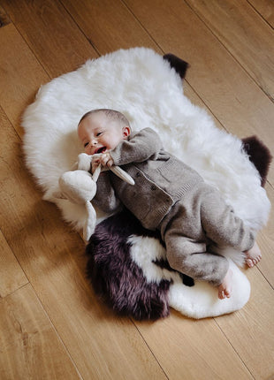 Schaf | Neuseeland | 35x48 Weiß