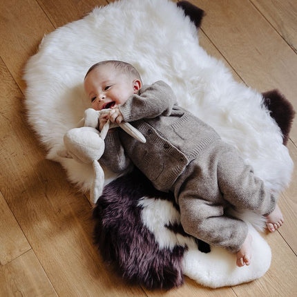 Schaf | Neuseeland | 35x48 Weiß