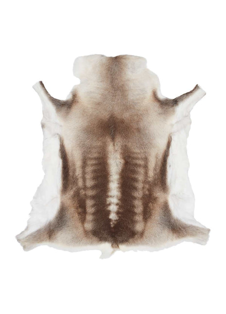 Rentierfell | Finnland | 70x110