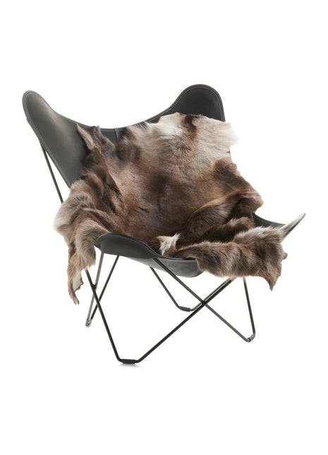 Rentierfell | Finnland | Hell (selten)